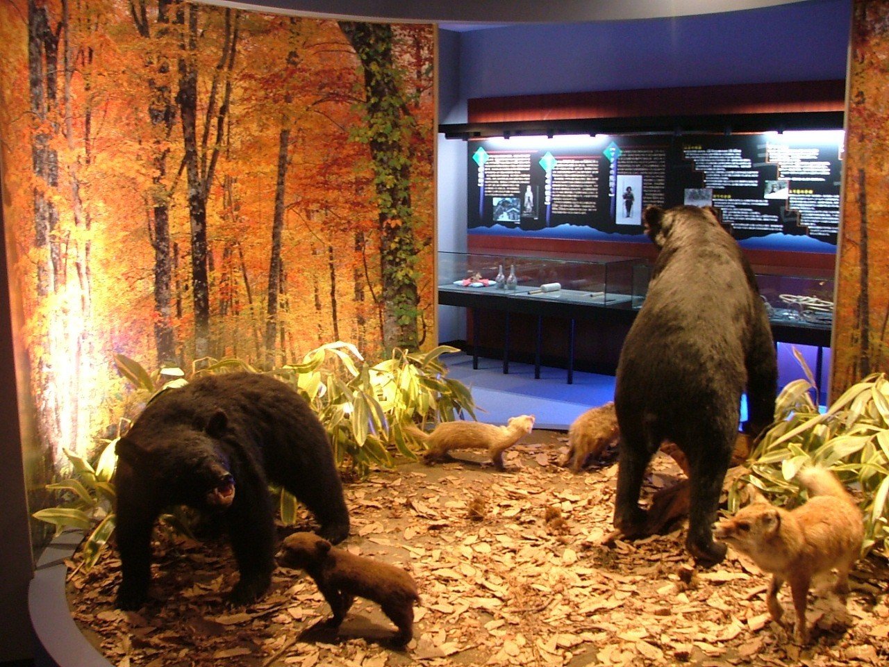 🏛️ 마타기 자료관(마타기 시료칸)